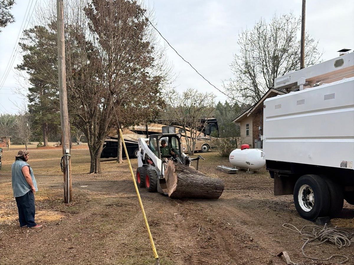 El Costeño Tree Service LLC